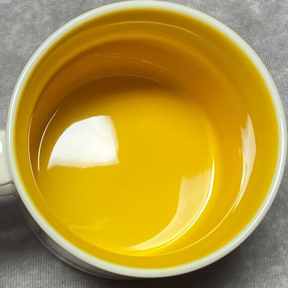 Starbucks 2015 You Are Here Collection Dallas Mug 14oz Ceramic Coffee Cup - Picture 8 of 11